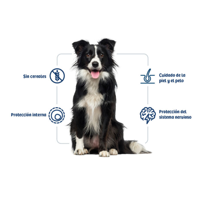 Nath Adult Medium / Maxi Sensitive Peixe Branco e Salmão ração para cães - Image 2