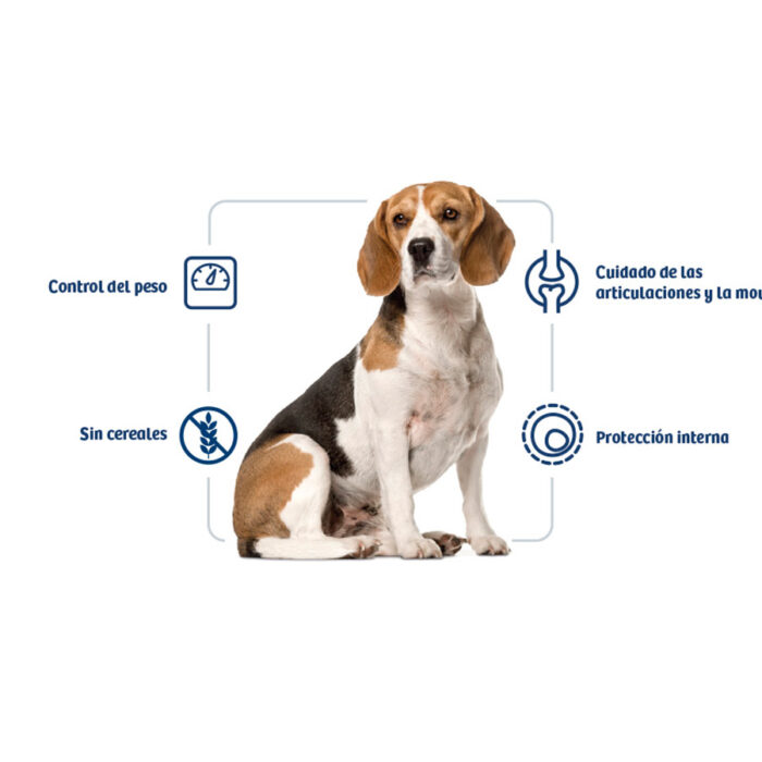 Nath Adult Medium Maxi Weight Control Frango ração para cães - Image 2
